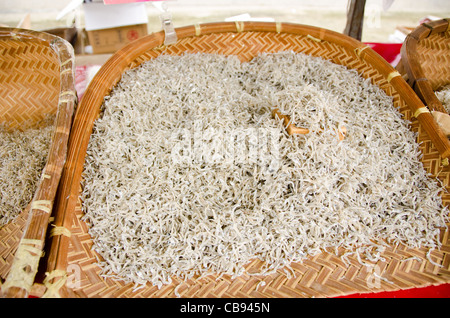 Niboshi, getrocknet baby Sardinen und andere Fische auf einer Straße in Osaka, Japan Stockfoto