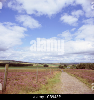 Ansicht des Clyde Valley aus den unteren Hängen des Tinto Hill, South Lanarkshire, Schottland, UK im Sommer Stockfoto