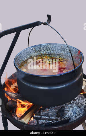 Hirschgulasch, Kochen in einem Schmortopf auf einer Garten-Party, isoliert vom Hintergrund, Clipping-Pfad enthalten. Stockfoto