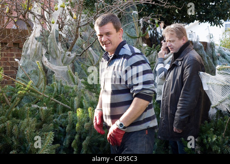 glückliche Verkäufer helfen Kunden die Wahl, eines Baumes auf dem Weihnachtsbaum Stockfoto