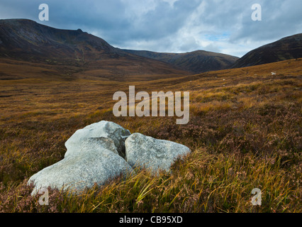 Cluster von weißen Granitfelsen in Deer Grass, Cairngorms, Schottland