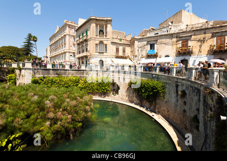 Süßwasser in Syracusa Stockfoto