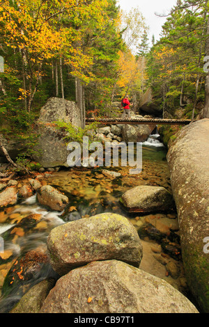 Katahdin Stream fällt, Appalachian Trail, Baxter State Park, Millinocket, Maine, USA Stockfoto