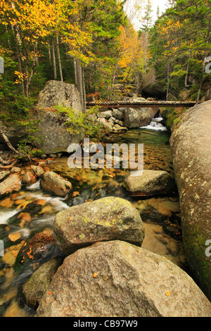 Katahdin Stream fällt, Appalachian Trail, Baxter State Park, Millinocket, Maine, USA Stockfoto