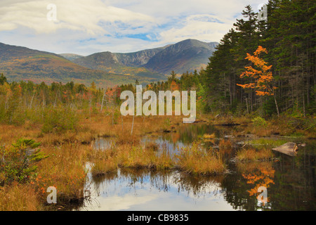 Sumpf in der Nähe Daicey Teich, Baxter State Park, Millinocket, Maine, USA Stockfoto