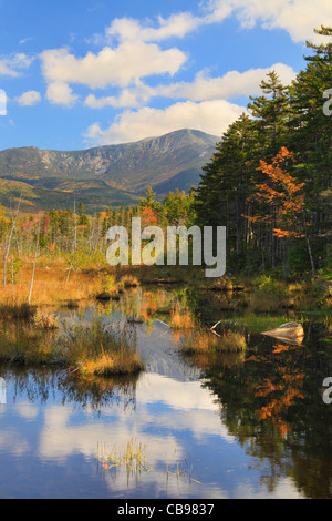 Sumpf in der Nähe Daicey Teich, Baxter State Park, Millinocket, Maine, USA Stockfoto