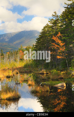 Sumpf in der Nähe Daicey Teich, Baxter State Park, Millinocket, Maine, USA Stockfoto