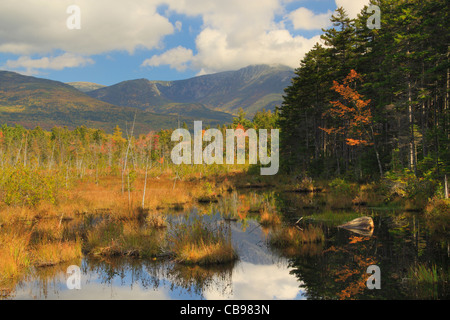 Sumpf in der Nähe Daicey Teich, Baxter State Park, Millinocket, Maine, USA Stockfoto