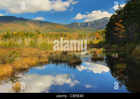 Sumpf in der Nähe Daicey Teich, Baxter State Park, Millinocket, Maine, USA Stockfoto