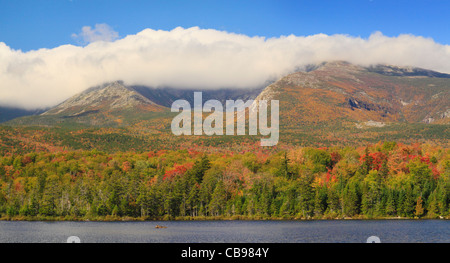 Elch in Sandy Stream Teich mit Mount Katahdin, Baxter State Park, Millinocket, Maine, USA Stockfoto