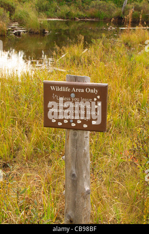 Stumpf-Teich, Baxter State Park, Millinocket, Maine, USA Stockfoto