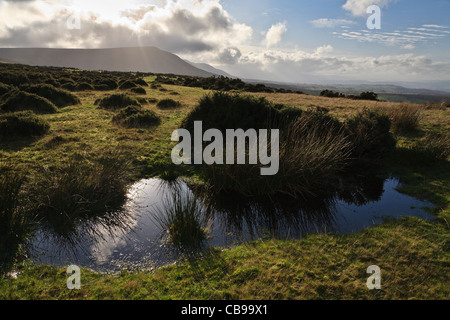 Blick vom Gospel Pass nach Twmpa, Black Mountains, Bannau Brycheiniog (Brecon Beacons National Park), Powys, Wales Stockfoto