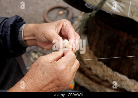 Nahaufnahme von einem Berufsfischer Hände seinen Haken Köder aufsetzen Stockfoto