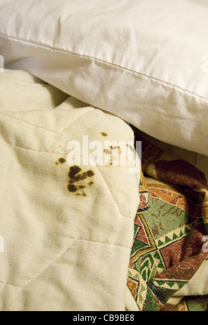 Das Problem der Sauberkeit im Hotelzimmer wird durch getrocknete Blutflecken auf der Tröster in einem Motelzimmer Texas belegt. Stockfoto