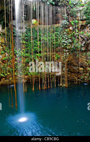 Ik Kil Cenote, Yucatan, Mexiko Stockfoto