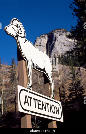 Eine große illustrierte Verkehrsschild warnt Autofahrer achten und achten Sie auf Big Horn Sheep in den kanadischen Rocky Mountains in der Nähe von Banff, Alberta, Kanada. Stockfoto