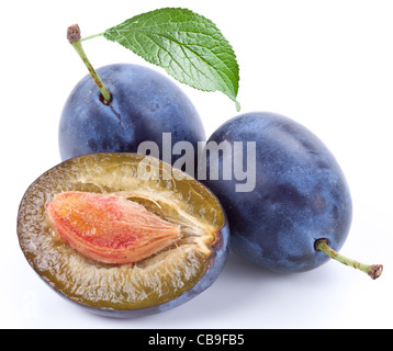 Gruppe von Pflaumen mit Blatt isoliert auf einem weißen Hintergrund. Stockfoto