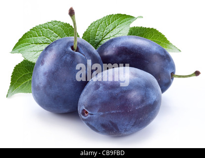 Gruppe von Pflaumen mit Blatt isoliert auf einem weißen Hintergrund. Stockfoto