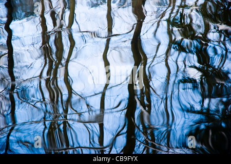 Reflexion der Bäume im Wasser. Stockfoto