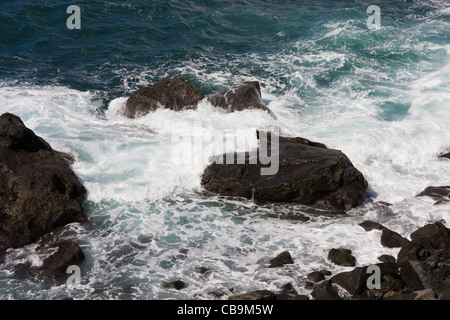 Harter Felsen und rauer See, Camara de Lobos, in der Nähe von Funchal, Madeira Stockfoto