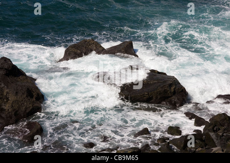 Harter Felsen und rauer See, Camara de Lobos, in der Nähe von Funchal, Madeira Stockfoto