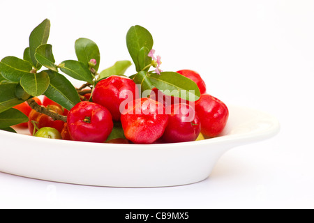 Acerola Kirschen auf weißem Hintergrund Stockfoto