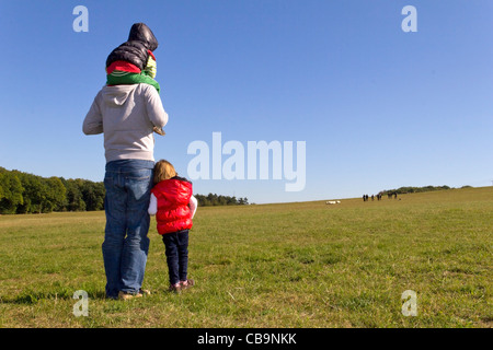 Familie ist Schafe auf der Wiese beobachten. Stockfoto
