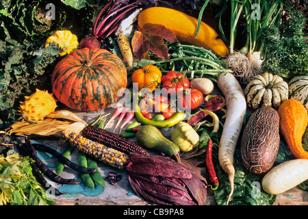 Anzeige der bunten Sortiment an frischen saisonalen Grüns und Gemüse als Zutat zum kochen gesund und nahrhaft Stockfoto