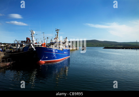 Fischereihafen, Stadt Dingle, County Kerry, Irland Stockfoto