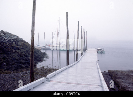 Dock und Boote im Nebel, Lubec, Maine, USA Stockfoto