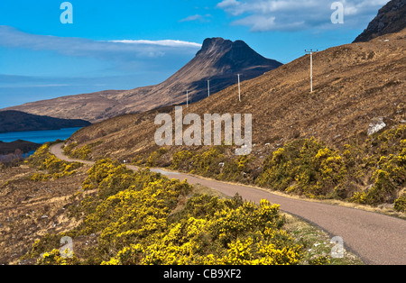 Single Track Road genannt Nordküste Schottland führt zu berühmten schottischen Berge Stac Pollaidh auf 613 Meter im Wald Inverpolly Highland Schottland Stockfoto