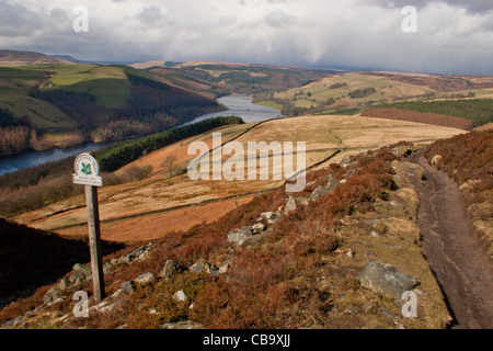 Derwent Valley Reservoir High Peak Estate, Whinstone Lee Fields, Peak District in Derbyshire, England Stockfoto