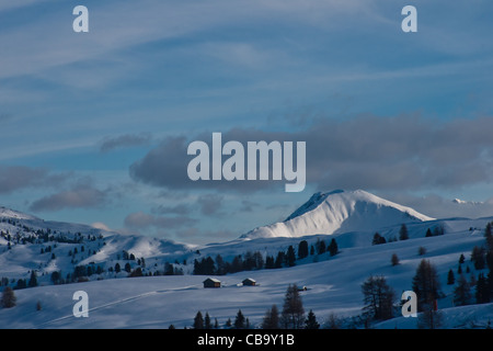 Wintermärchen mit Schnee bedeckt Settsass Berg als Hintergrund im Skigebiet Alta Badia, Dolomiten, Italien. Stockfoto