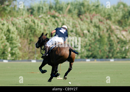 Polo-Spieler im Galopp nach Ball Spiel Stockfoto