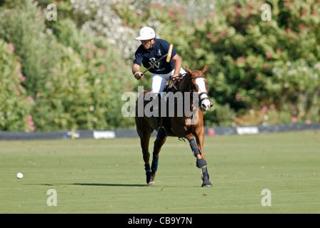 Polo-Spieler im Galopp nach dem Auftreffen auf Ball Spiel Stockfoto