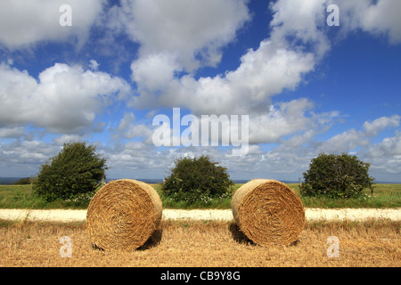 Zwei Heuballen und drei Sträucher auf den South Downs, Sussex im Spätsommer Stockfoto