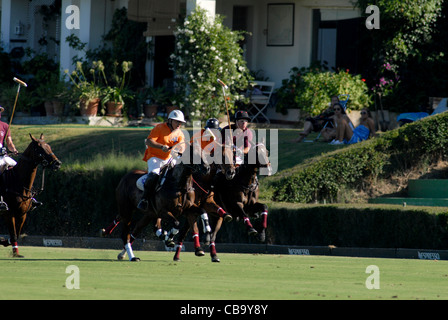 3 Polo-Spieler im Galopp nach Ball Spiel Stockfoto