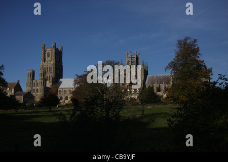 Ely Kathedrale in Cambridgeshire, England Stockfoto