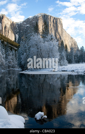 El Capitan entlang der Merced River im Winter, Yosemite Nationalpark, Kalifornien. Stockfoto