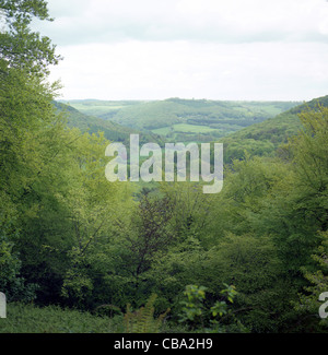 Blick über Wye Valle, England Stockfoto