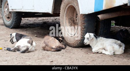 Typische Straßenszene in der kleinen Stadt Ambagiorgies auf der Straße zwischen Gonder und Bahir Dar in Nord-Äthiopien, Afrika. Stockfoto