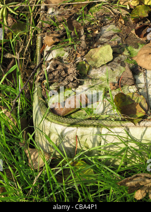 Bett von obdachlosen Menschen in Wäldern in Landschaft Stockfoto