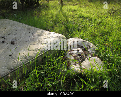 Bett von obdachlosen Menschen in Wäldern in Landschaft Stockfoto