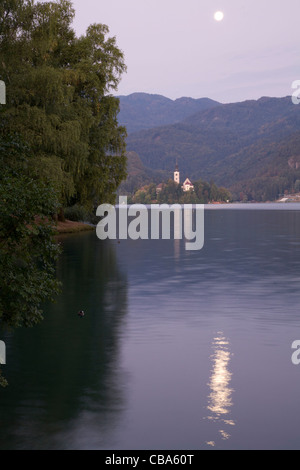 Mond Einstellung bei Sonnenaufgang über Hügel und Insel-Kirche am See Bled, Slowenien. Stockfoto