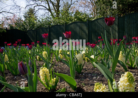 Burnby Hall Gardens Pocklington Stockfoto