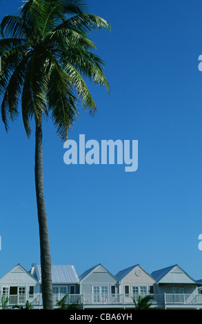 Bahamas-Stil Holzhäuser in der Nähe von Fort Zachary, Key West, Hauptstadt von den Florida Keys, Florida Stockfoto