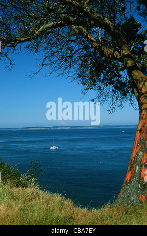 Admirality Inlet auf den alten viktorianischen Hafen Port Townsend auf der Olympic Halbinsel Washington State, USA Stockfoto