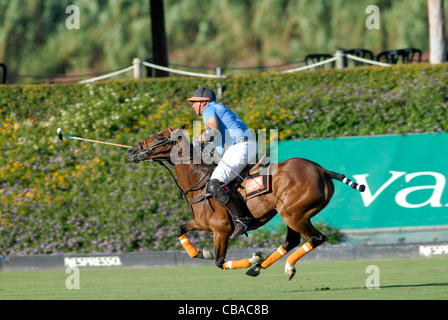 Polo-Spieler im Galopp nach Ball Spiel Stockfoto