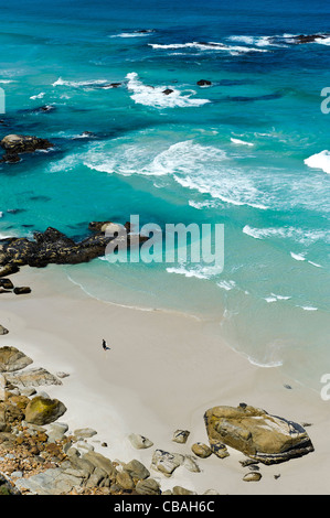 Einsamer Surfer am Strand bei Noordhoek Western Cape Südafrika Stockfoto