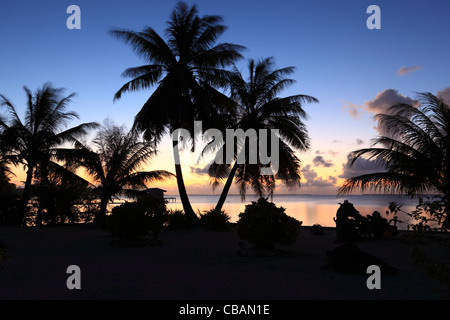 Traumstrand nach Sonnenuntergang auf Manihi-Atoll im Südpazifik mit Kokospalmen Stockfoto